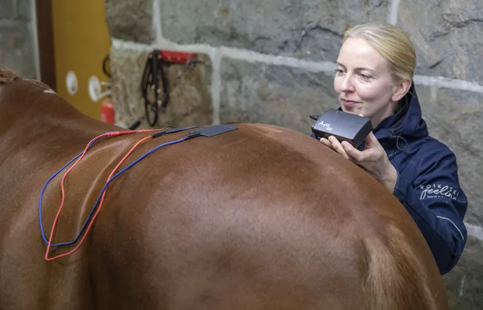 Sähköhoitolaitteet EMS ja TENS