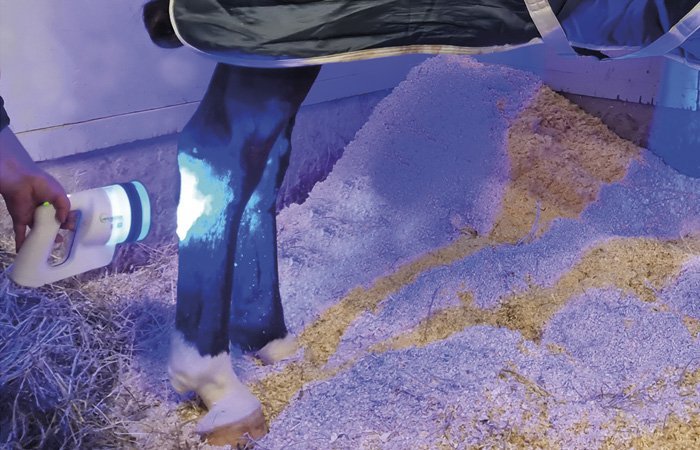 Phovia led-valohoito