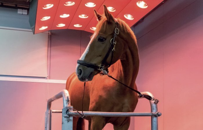Solarium